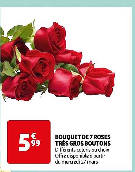 bouquet de 7 roses très gros boutons