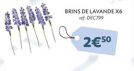 brins de lavande x6
