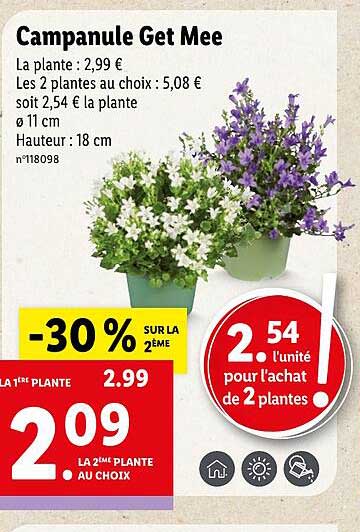 campanule get mee
