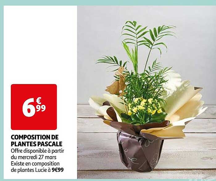 composition de plantes pascale