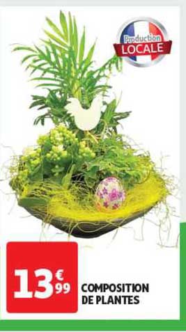 Composition De Plantes