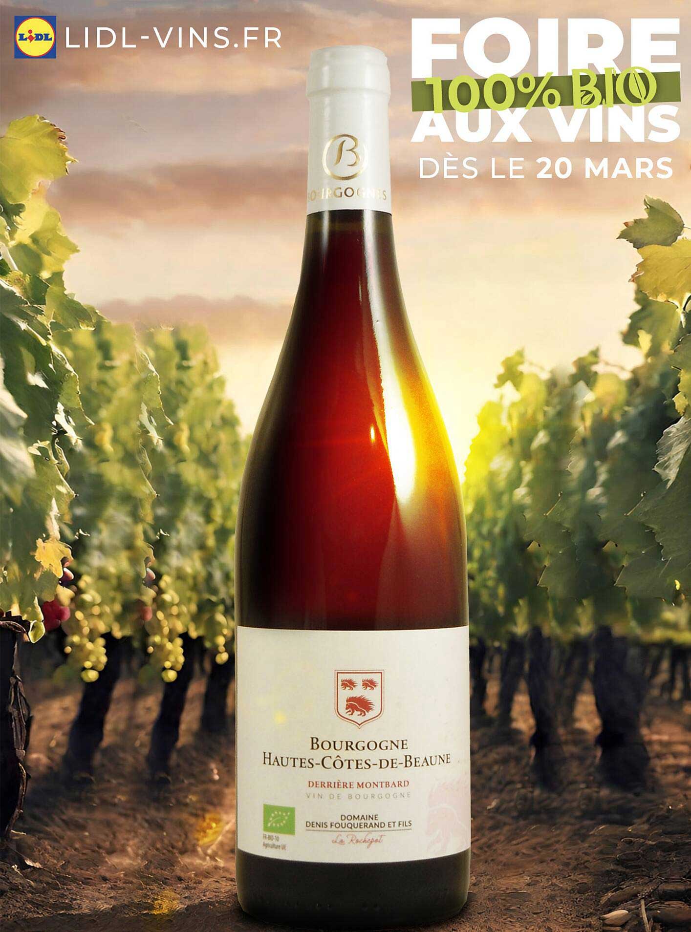 Foire 100% Bio Aux Vins