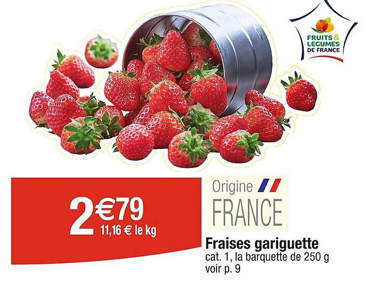 fraises gariguette