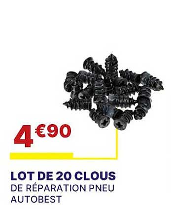 lot de 20 clous de réparation pneu autobest