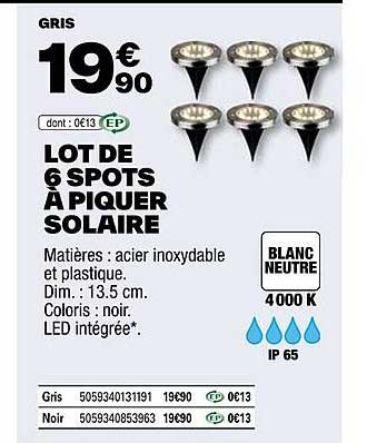 lot de 6 spots à piquer solaire