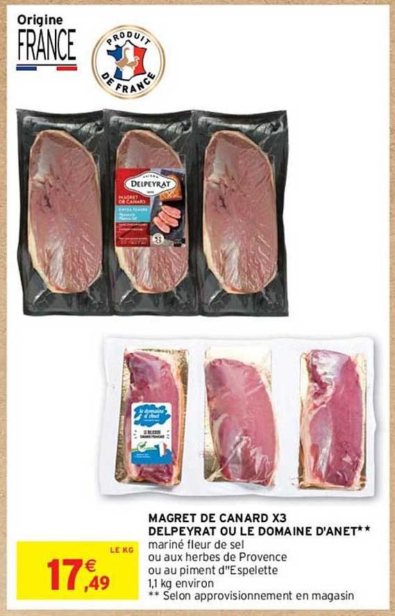 magret de canard x3 delpeyrat ou le domaine d'anet