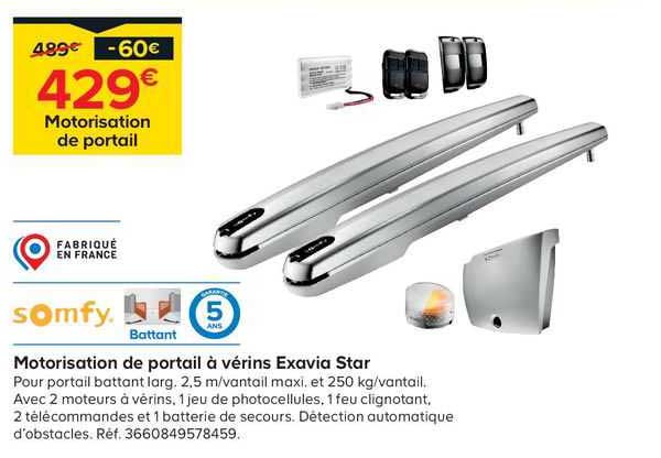 motorisation de portail à vérins exavia star somfy