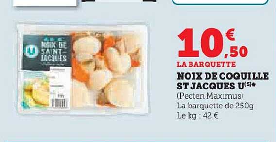 noix de coquille st jacques u*