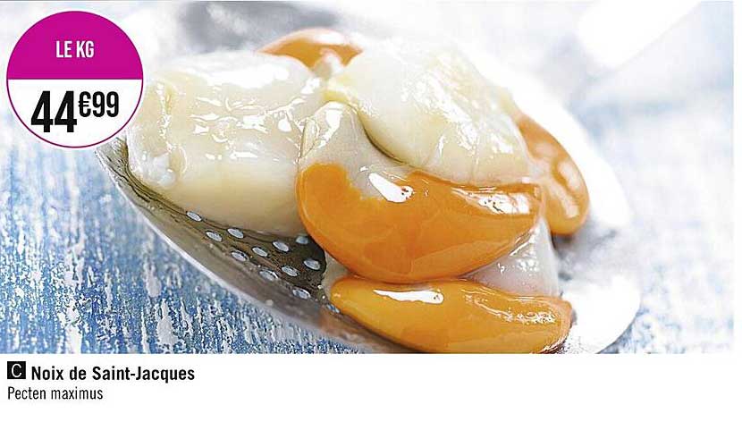 noix de saint-jacques