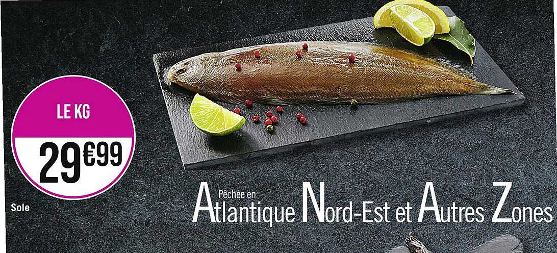 sole pêchée en atlantique  nord-est et autres zones