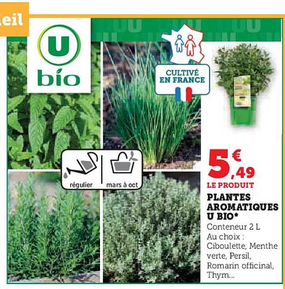 Plantes Aromatiques U Bio
