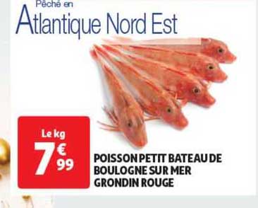 poisson petit bâteau de boulogne sur mer grondin rouge