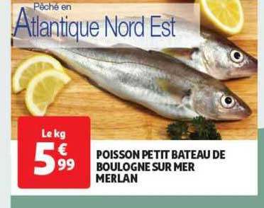 poisson petit bâteau de boulogne sur mer merlan