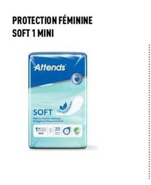 protection féminine soft 1 mini