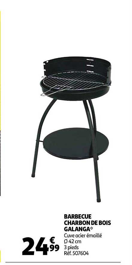 Barbecue Charbon De Bois Galanga