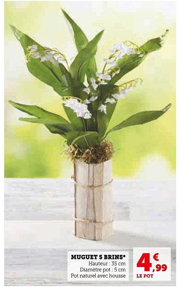 muguet 5 brins