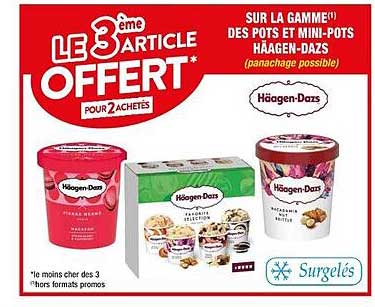 la gamme des pots et mini-pots häagen-dazs