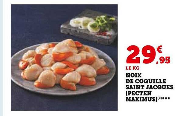 noix de coquille saint jacques (pecten maximus)