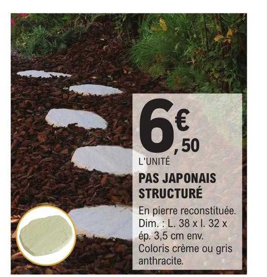 pas japonais structuré