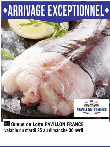 queue de lotte pavillon france
