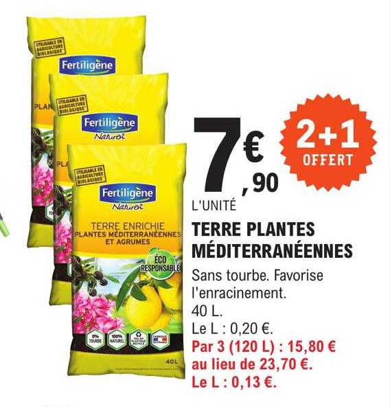 terre plantes méditerranéennes