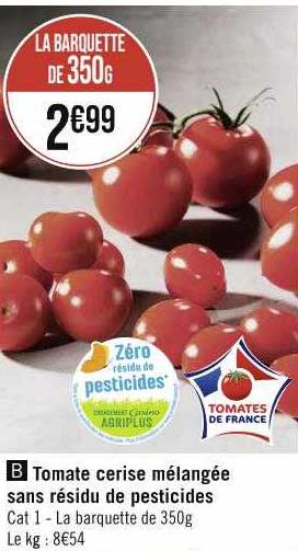 Tomate Cerise Mélangée Sans Résidu De Pesticides