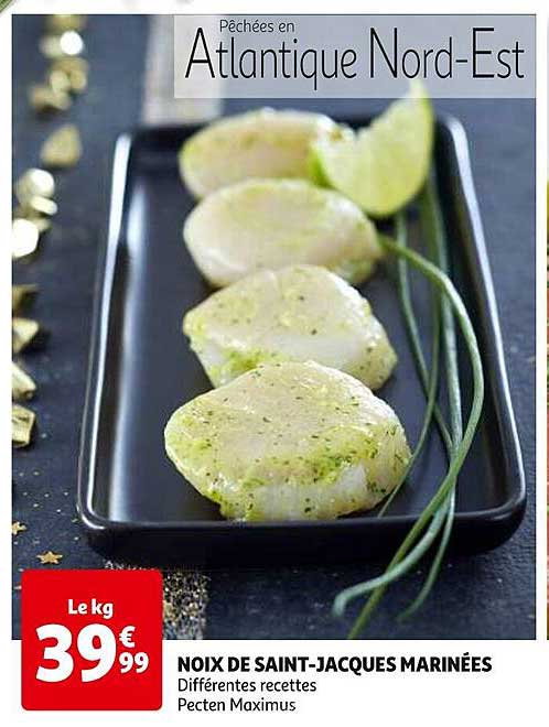 noix de saint-jacques marinées