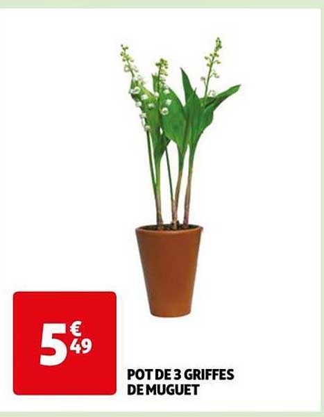 pot de 3 griffes de muguet