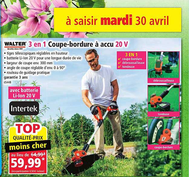 3 en 1 coupe-bordure à accu 20 v walter