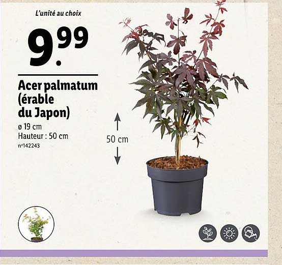 Sitemapcdatahttpsmodeinf Inetcomerable Du Japon Lidl