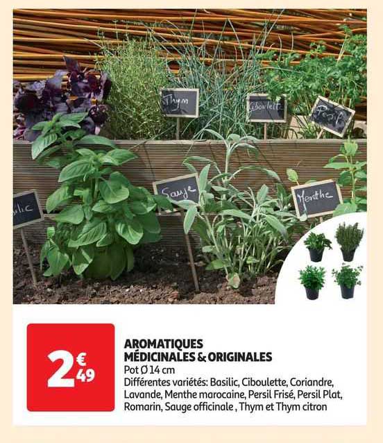 aromatiques médicinales & originales