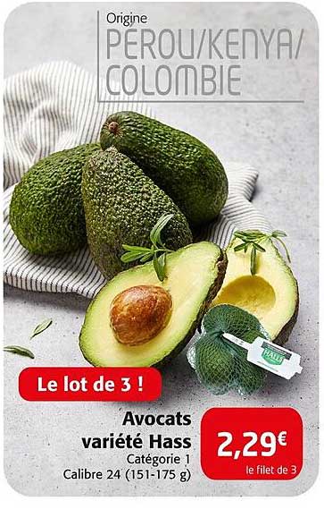 avocats variété hass