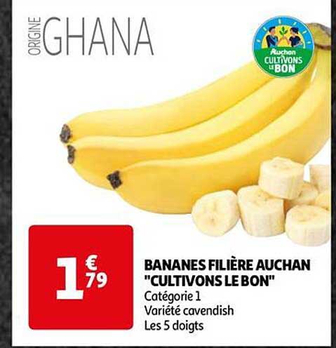 bananes filière auchan "cultivons le bon"