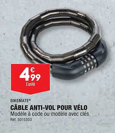 Câble Anti-vol Pour Vélo Bikemate