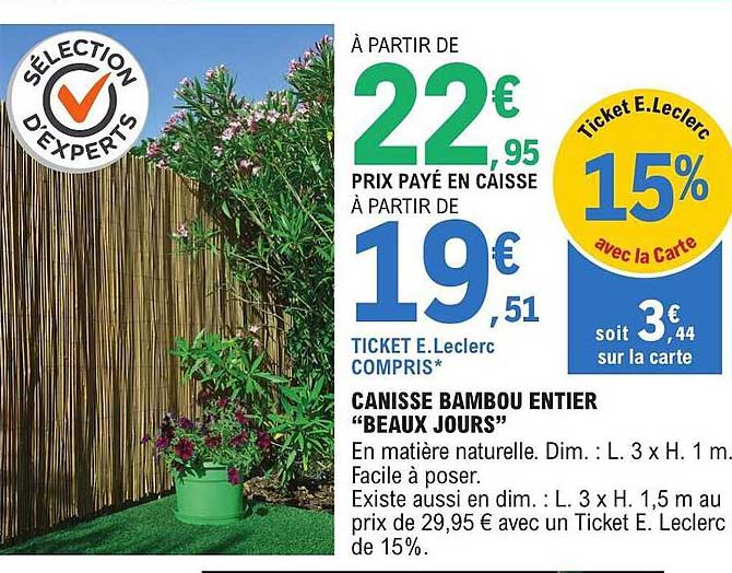 canisse bambou entier "beaux jours"