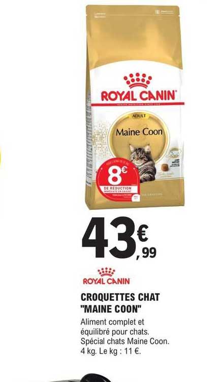 croquettes chat "maine coon" royal canin