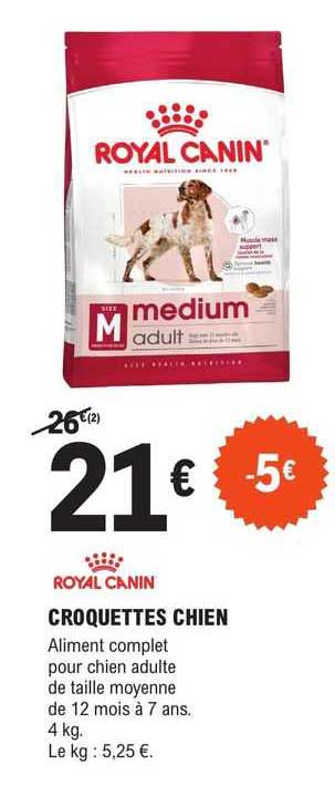 croquettes chien royal canin