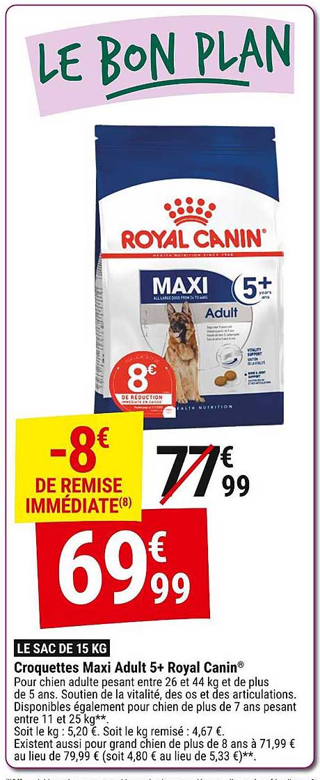 croquettes maxi adult 5+ royal canin