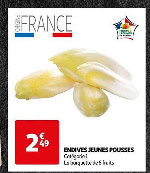 endives jeunes pousses