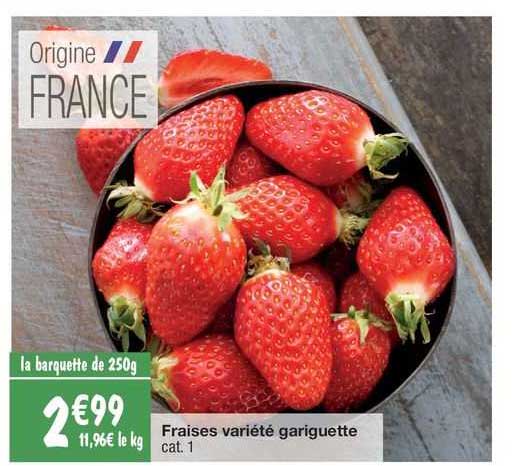 fraises variété gariguette