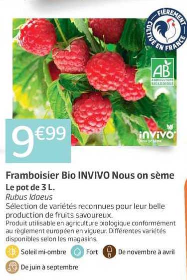 framboisier bio invivo nous on sème