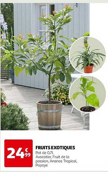 Fruits Exotiques