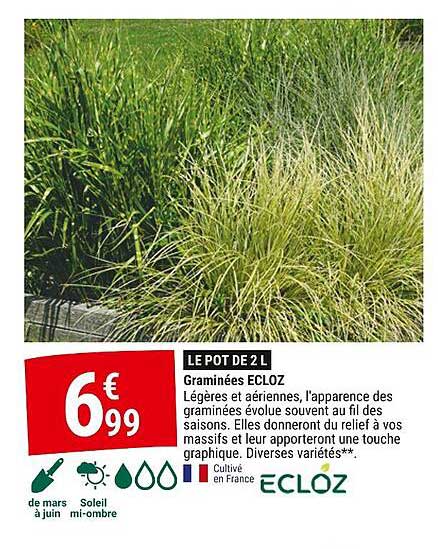 Graminées Ecloz