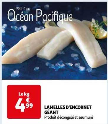 lamelles d'encornet géant