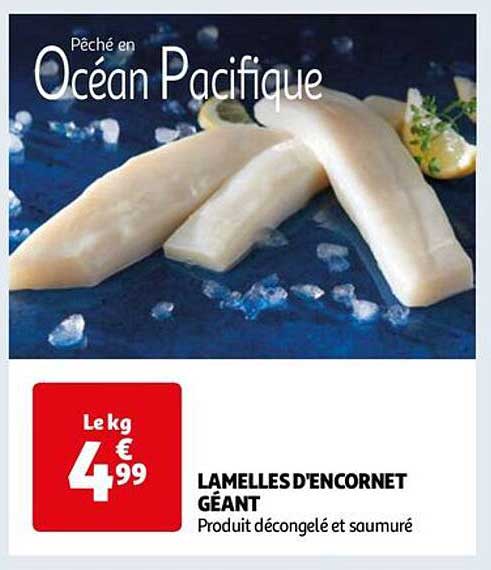 lamelles d'encornet géant