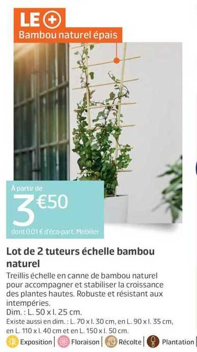 lot de 2 tuteurs échelle bambou naturel