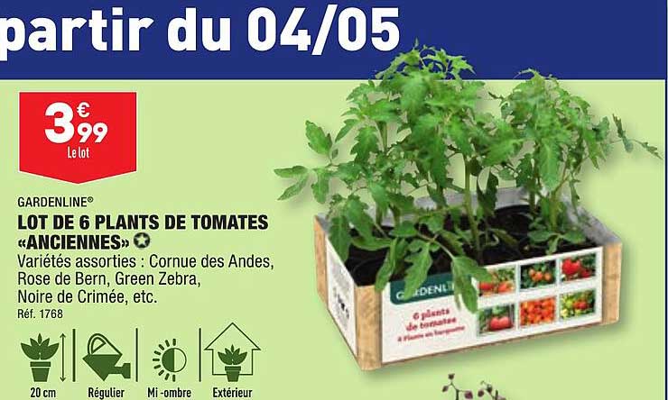 lot de 6 plants de tomates «anciennes» gardenline