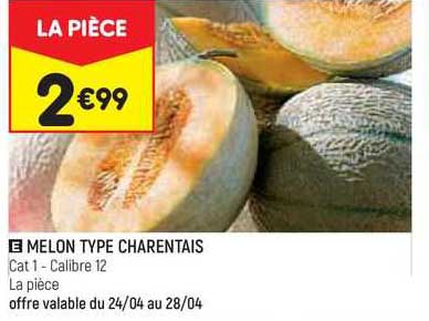 melon type charentais