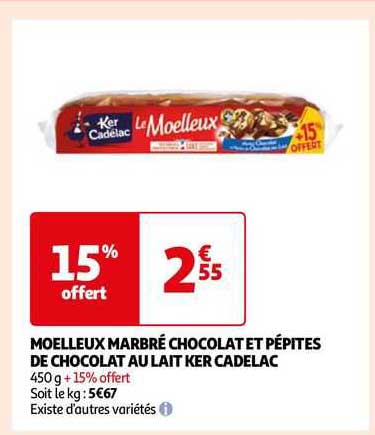 Moelleux Marbré Chocolat Et Pépites De Chocolat Au Lait Ker Cadelac