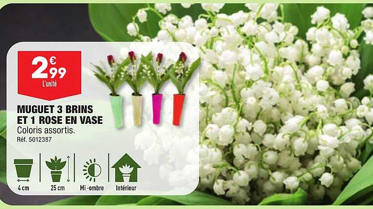 muguet 3 brins et 1 rose en vase